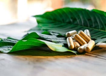 The Proof of Effectiveness of Kratom Nowadays