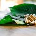 The Proof of Effectiveness of Kratom Nowadays