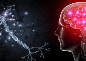 NEUROPLASTICITY: HOW LEARNING CHANGES THE BRAIN