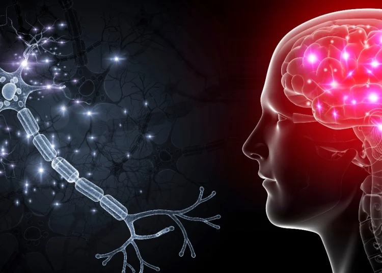 NEUROPLASTICITY: HOW LEARNING CHANGES THE BRAIN