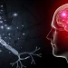 NEUROPLASTICITY: HOW LEARNING CHANGES THE BRAIN